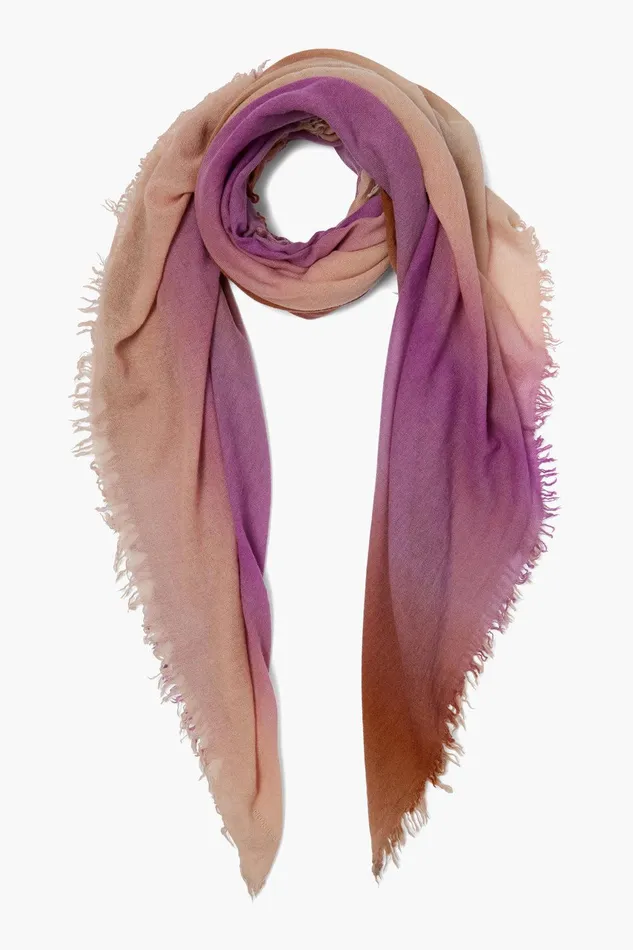 100 Cashmere Scarf Orchid Ombr Women Chan Luu Scarves