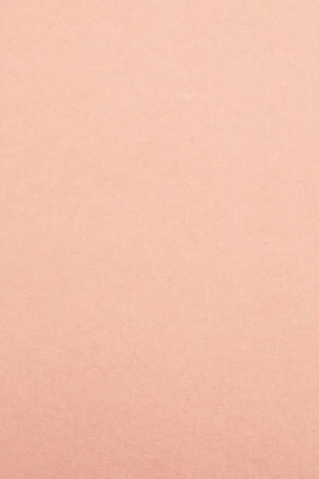 Acne Studios Fringe Wool Scarf 8211 Narrow Peach Pink Women Scarves Acne Studios Fringe Wool Scarf 8211 Narrow Peach Pink Women Scarves