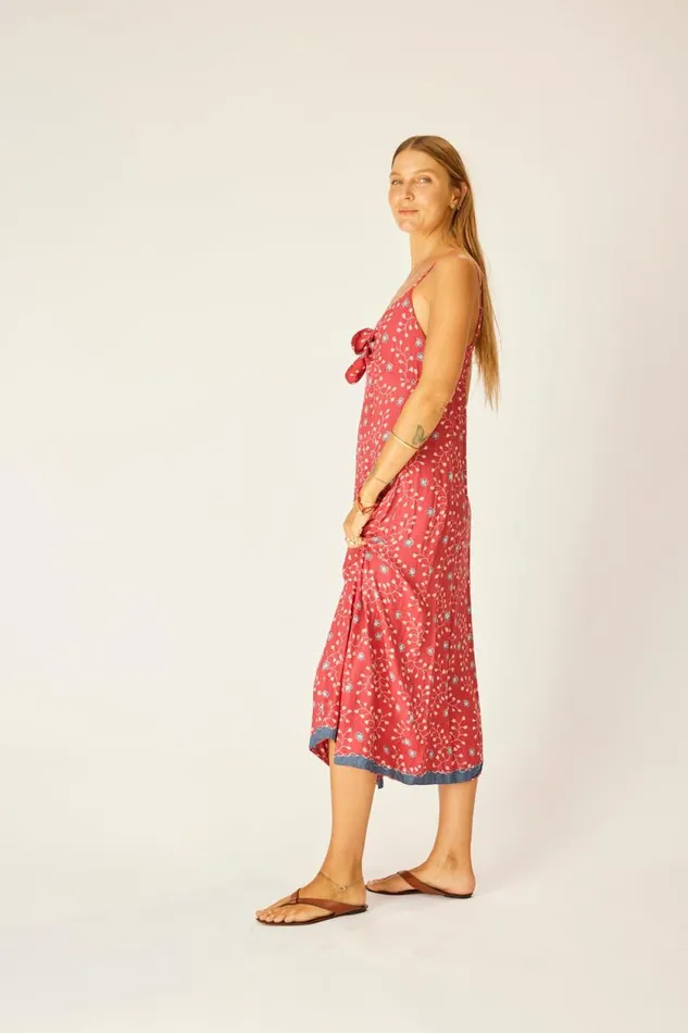 Dresses Shop Natalie Martin SOPHIE DRESS Pinwheel Barn Red