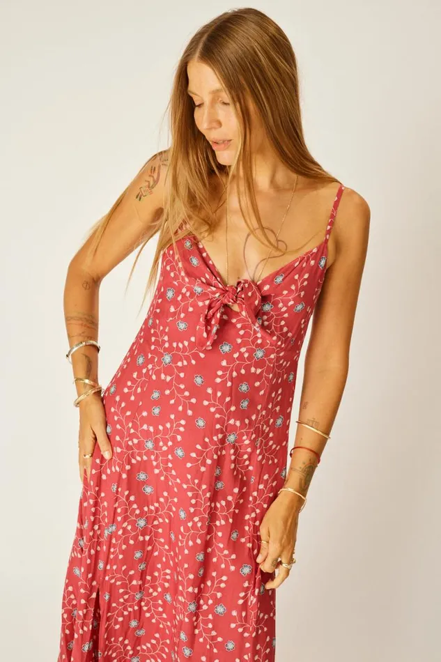 Dresses Shop Natalie Martin SOPHIE DRESS Pinwheel Barn Red