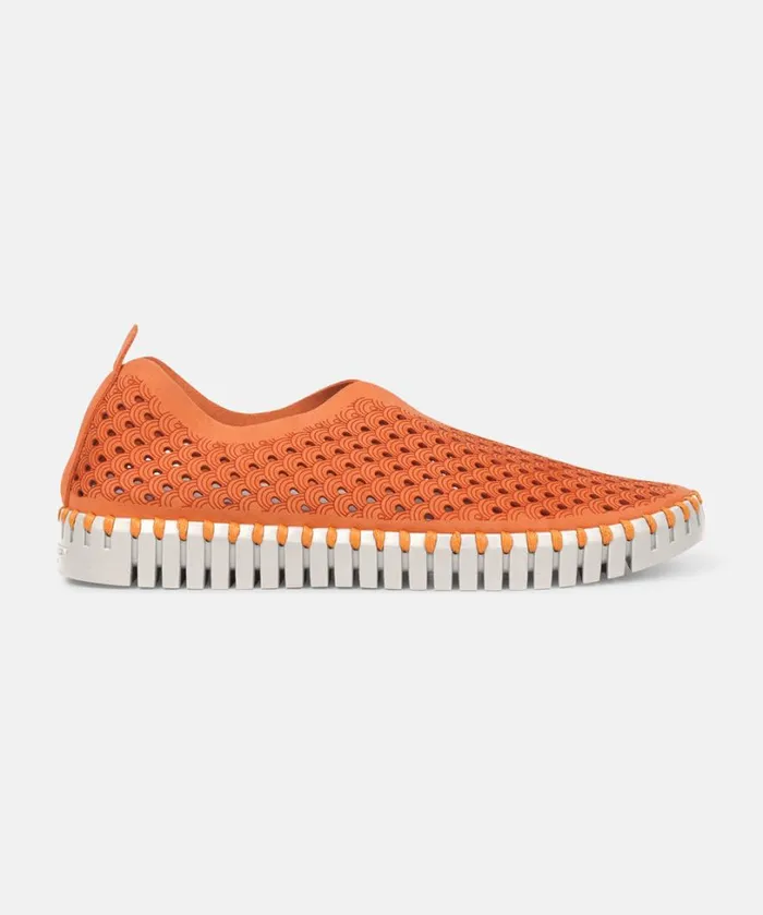 Flats 8211 Camelia Shoes Ilse Jacobsen Tulip Flats