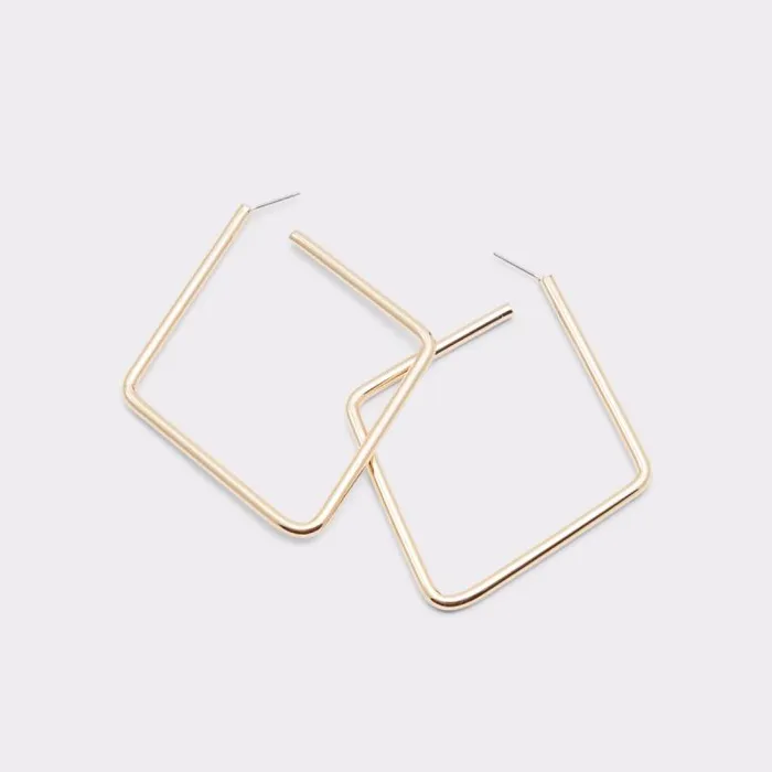 Jewelry Women ALDO Torus Hoop Earrings