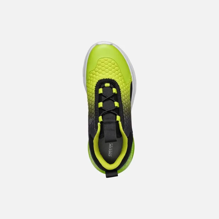 Kids Geox Sneakers ACTIVART ILLUMINUS JUNIOR BlackLime Low Top Sneakers Blacklime