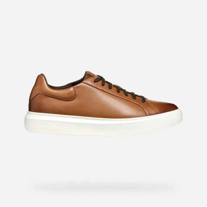 Man Geox Sneakers DEIVEN MAN Light Brown Low Top Sneakers Light Brown