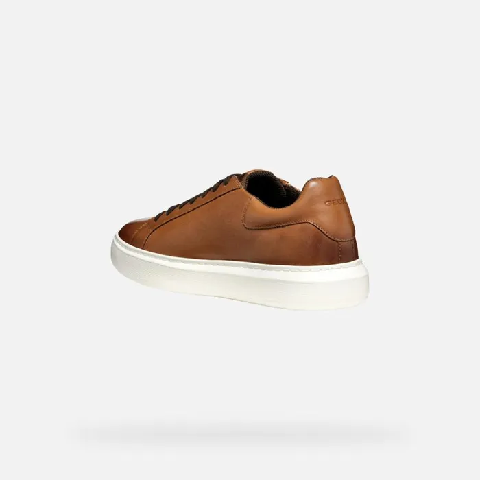Man Geox Sneakers DEIVEN MAN Light Brown Low Top Sneakers Light Brown