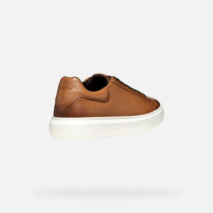 Man Geox Sneakers DEIVEN MAN Light Brown Low Top Sneakers Light Brown