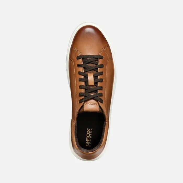 Man Geox Sneakers DEIVEN MAN Light Brown Low Top Sneakers Light Brown