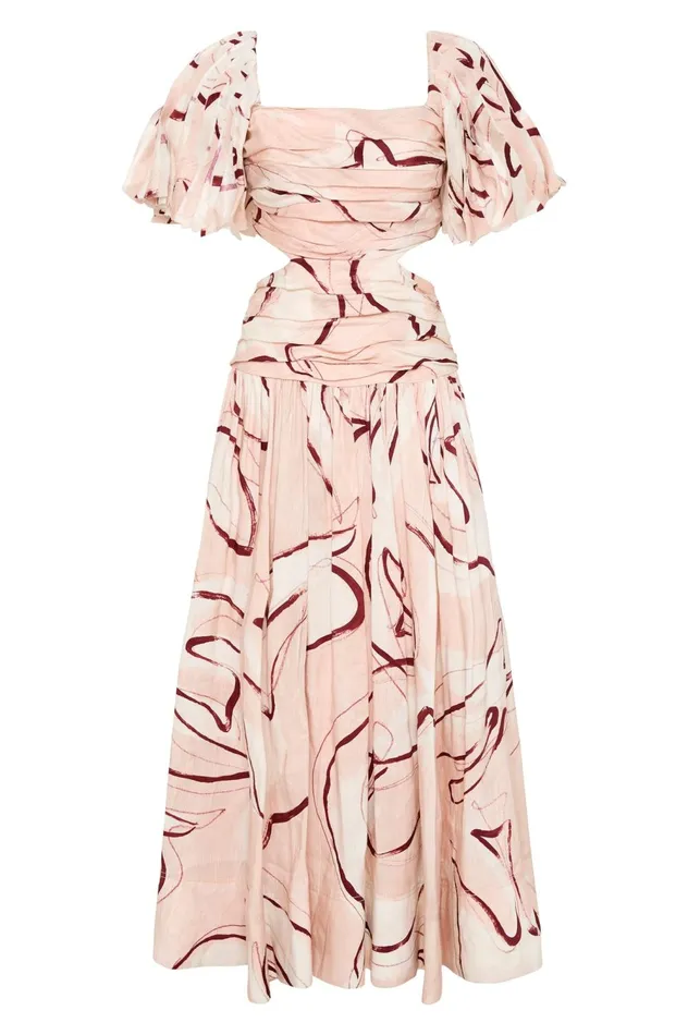 Marianne Ruched Midi Dress Whimsical Dove Women Aje Midi Dresses