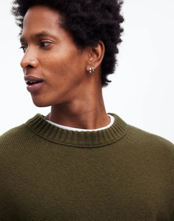 Men Sweaters Madewell Crewneck Sweater In SoftWool Foliage Green