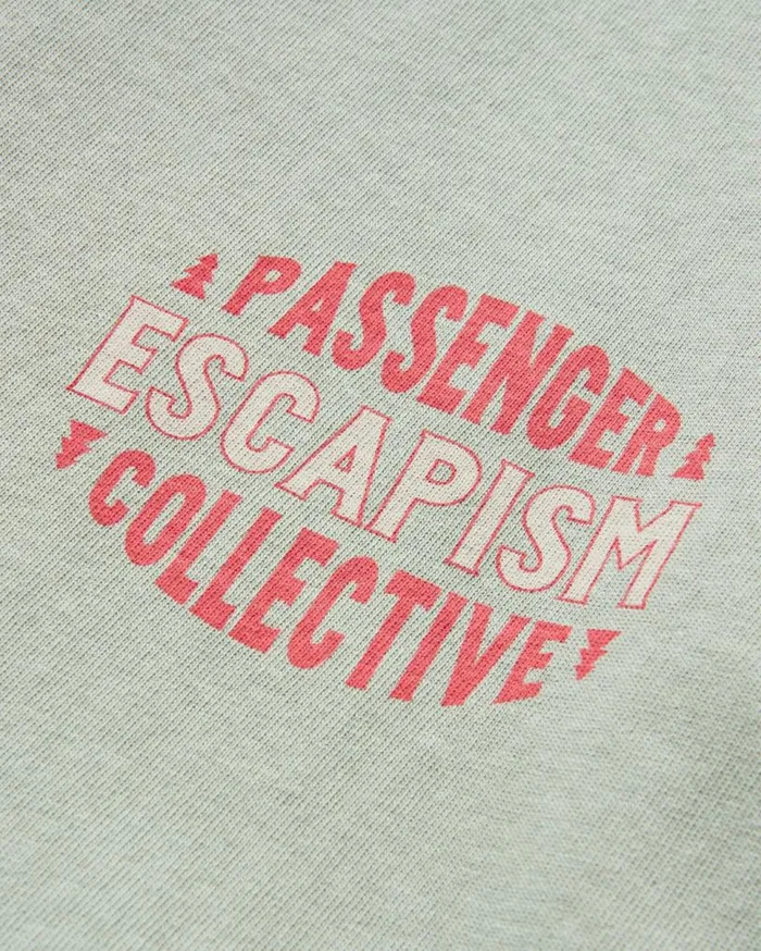 Passenger Clothing Reconnect Recycled Cotton TShirt Pistachio Men TShirts and Vests