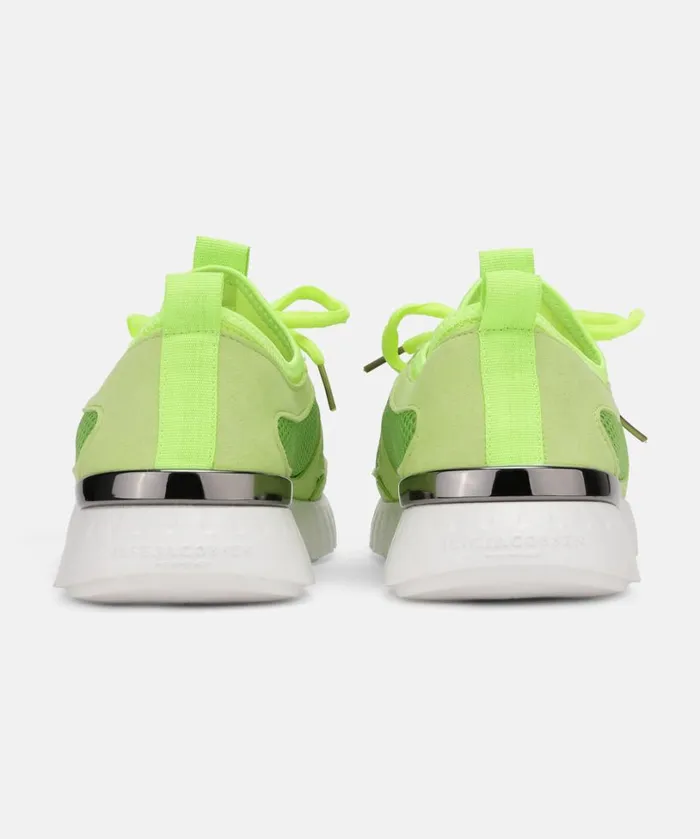Sneakers 8211 Sharp Green Shoes Ilse Jacobsen Tulip Sneakers Sneakers 8211 Sharp Green Shoes Ilse Jacobsen Tulip Sneakers