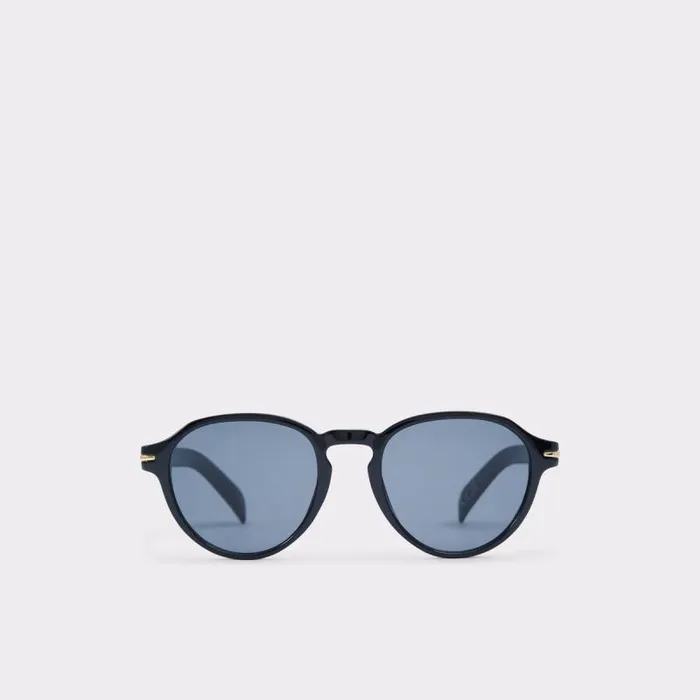 Sunglasses Men ALDO Galog Round Sunglasses
