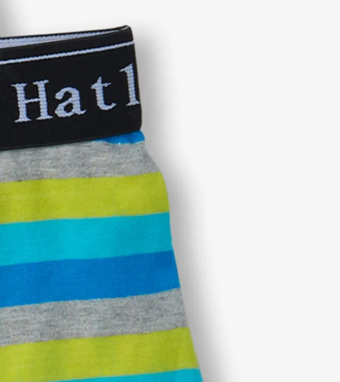Underwear Boys Hatley Boys Stripes 3 Pack Boxer Briefs