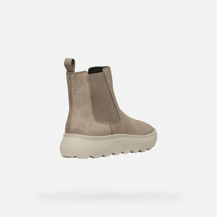 Woman Geox Ankle Boots SPHERICA EC41 WOMAN Taupe Chelsea Boots Taupe