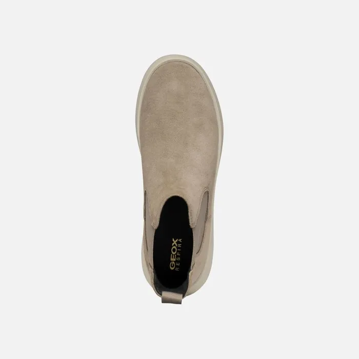 Woman Geox Ankle Boots SPHERICA EC41 WOMAN Taupe Chelsea Boots Taupe