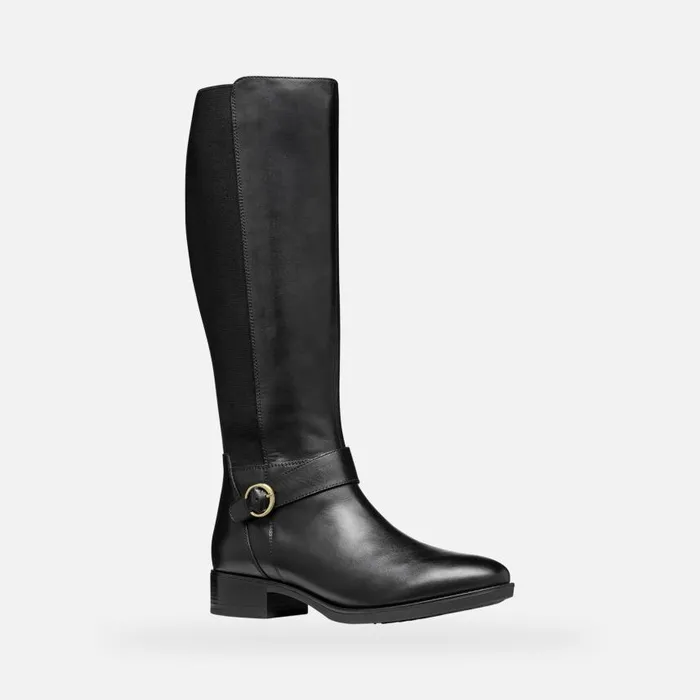 Woman Geox Boots FELICITY WOMAN Black Leather Boots Black