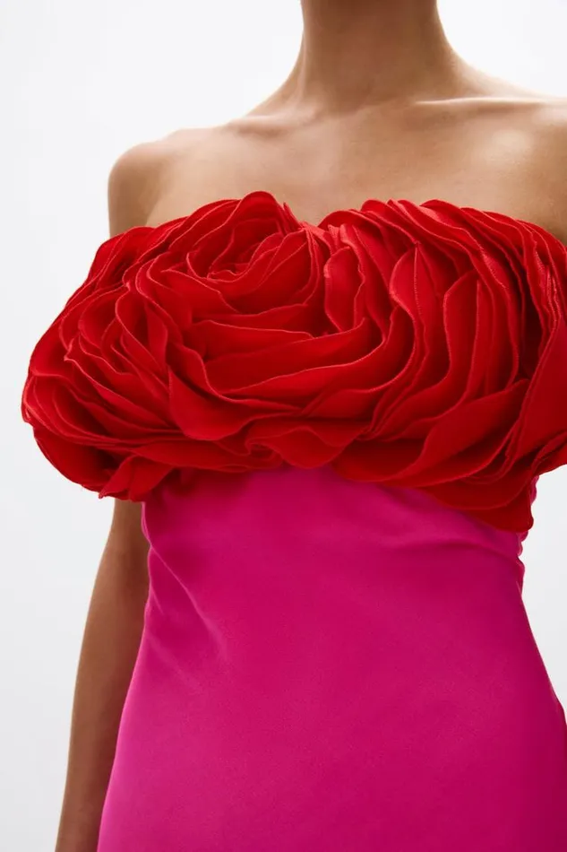 Women Maxi Dresses Rachel Gilbert Fiorella Gown FuschiaRed Women Maxi Dresses Rachel Gilbert Fiorella Gown FuschiaRed