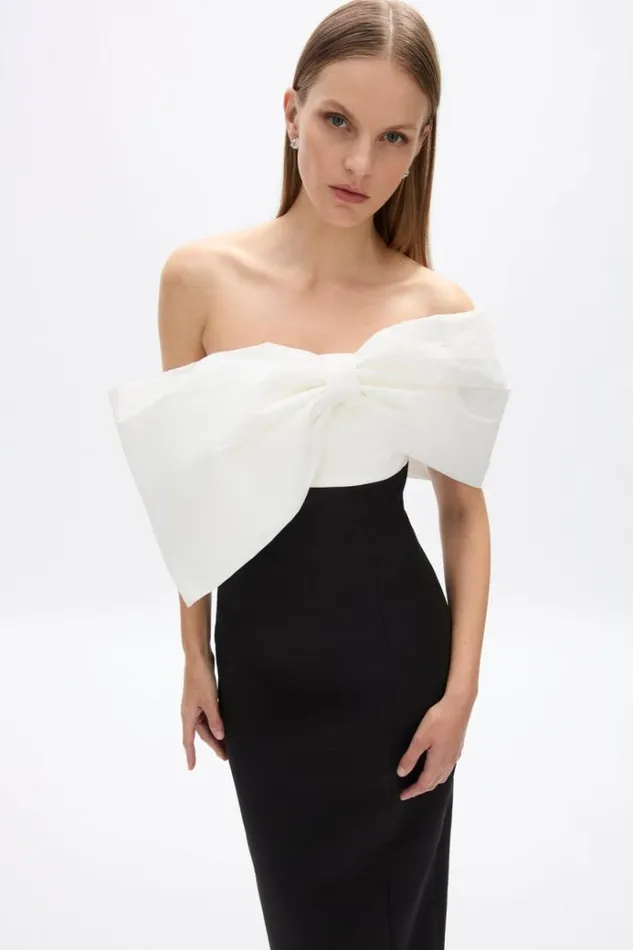 Women Maxi Dresses Rachel Gilbert Kace Gown In BlackIvory Women Maxi Dresses Rachel Gilbert Kace Gown In BlackIvory
