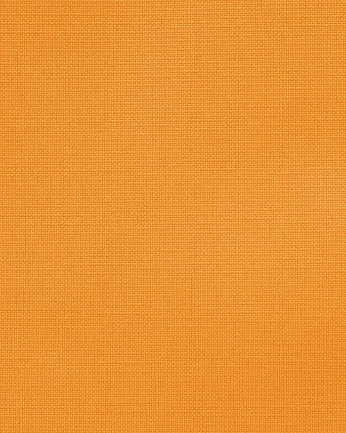 Women Nike All Sports Nike Vivid Orangevivid Orangebright Cactus