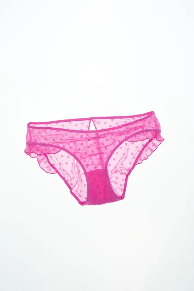 Women Panties Cotton On Sasha Flocking Mesh Bikini Brief Candy Cloud