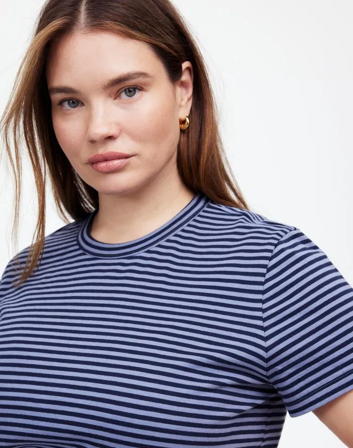 Women Tees Madewell Plus Cotton Perfect Crewneck Tee Teapot Blue