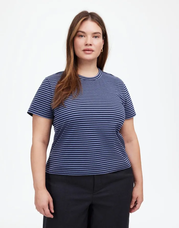 Women Tees Madewell Plus Cotton Perfect Crewneck Tee Teapot Blue