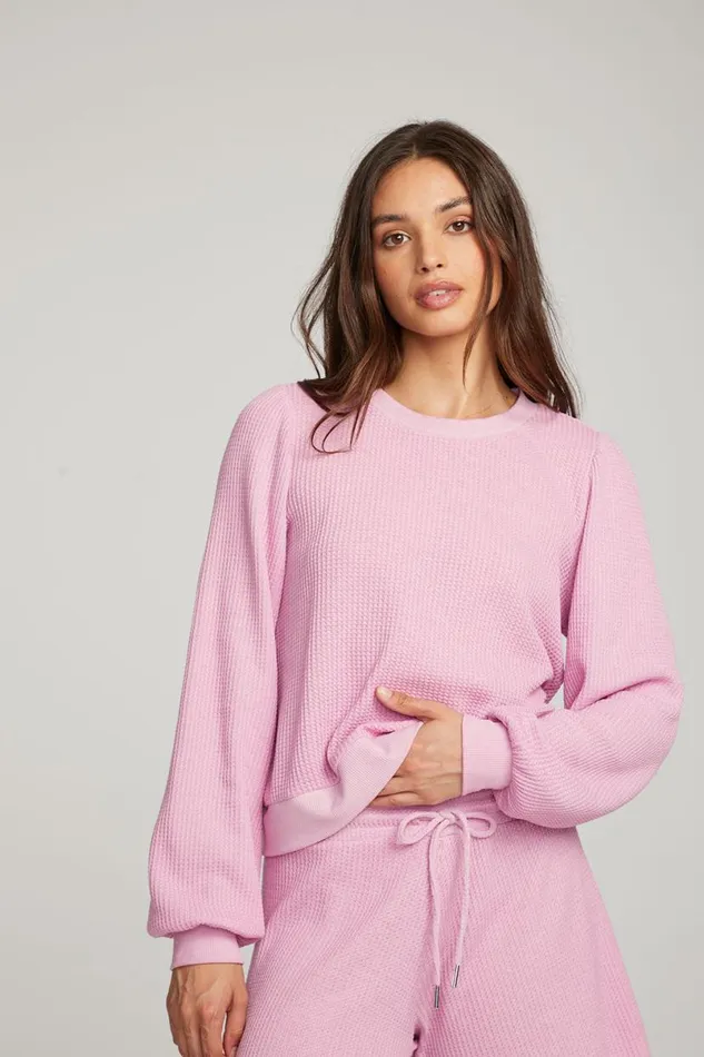 Womens Tops Chaser Brand Owlsey Pastel Lavender Pullover