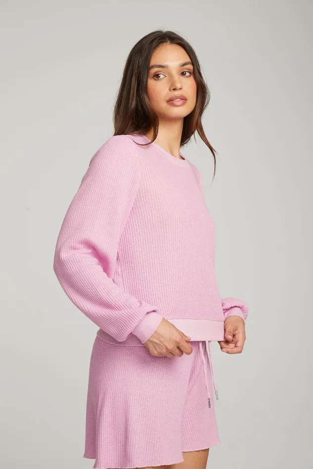 Womens Tops Chaser Brand Owlsey Pastel Lavender Pullover