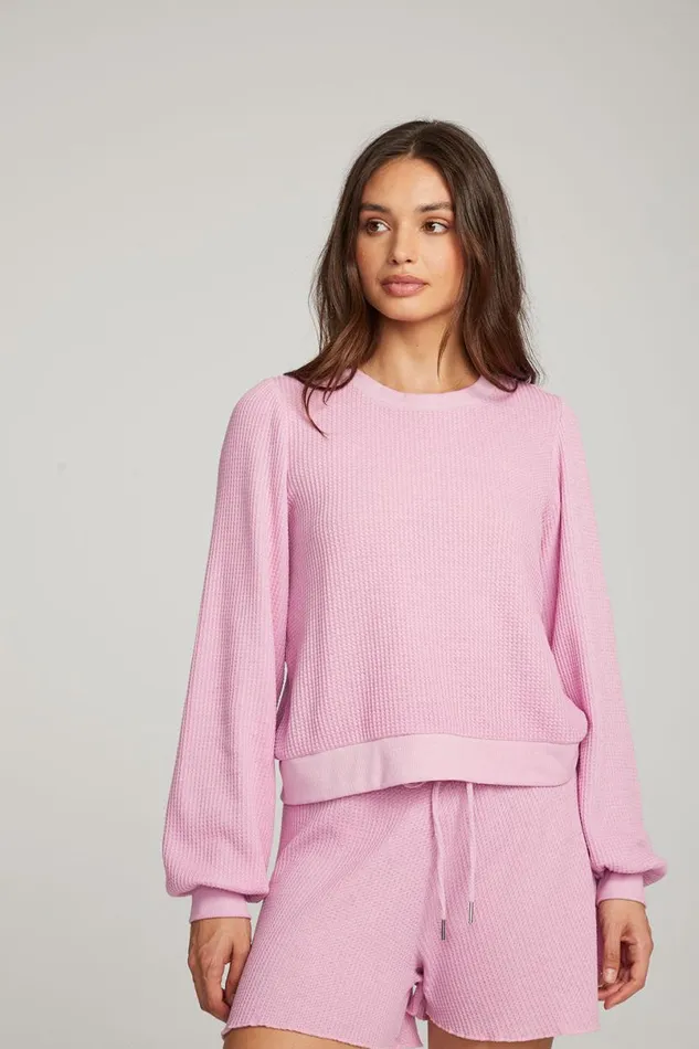 Womens Tops Chaser Brand Owlsey Pastel Lavender Pullover